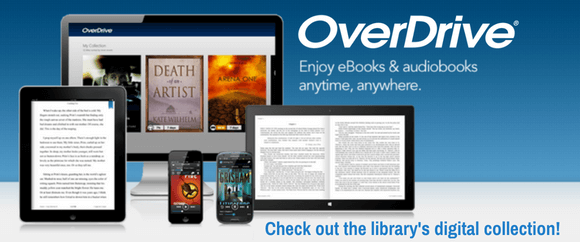 Check out the library's digital collection on NEFLIN OverDrive